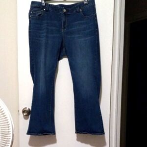 Lane Bryant Slim Boot Cut Jeans Size 20 Petite